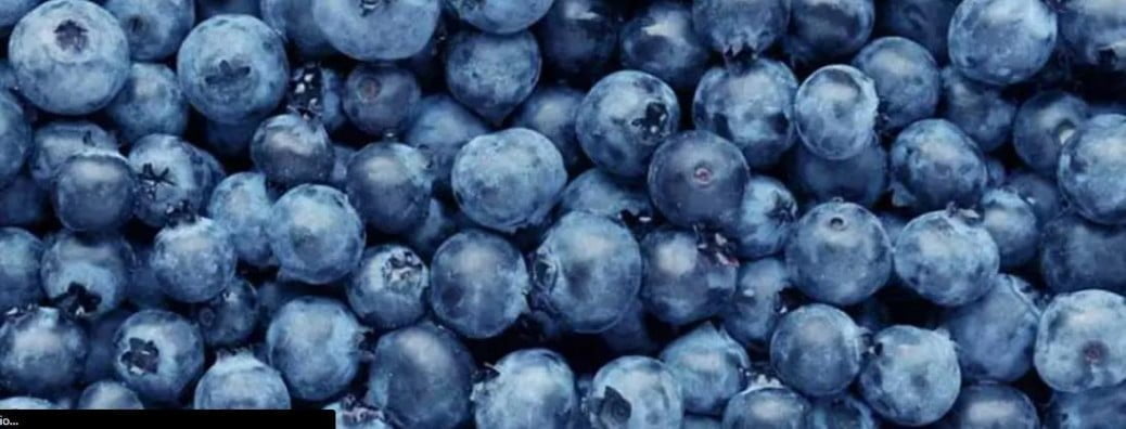 blueberries - Netizens Galaxy blueberries