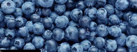 blueberries