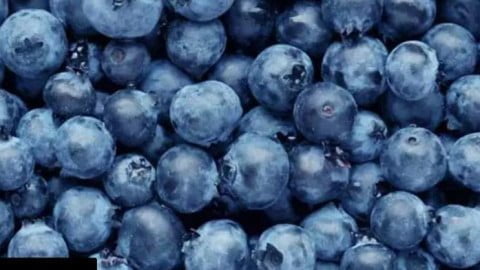 blueberries